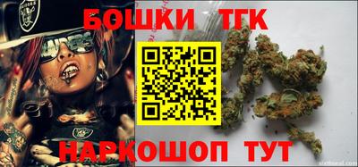 СК Кингисепп