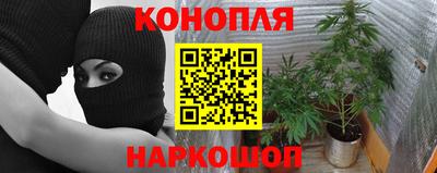 PSILOCYBIN Кимры