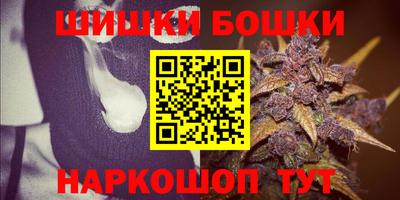 СК Кингисепп